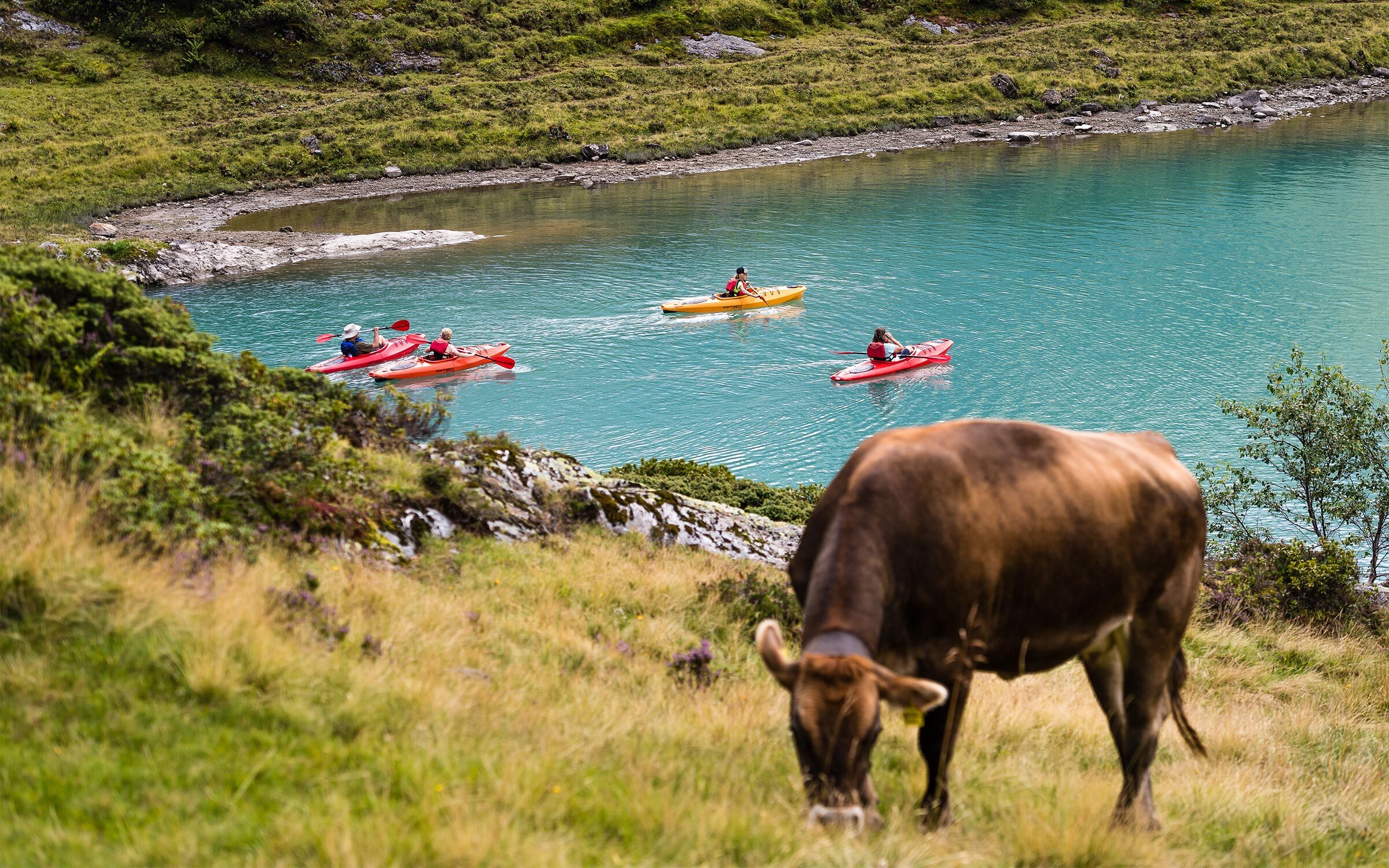 Aktivitäten für Kinder
